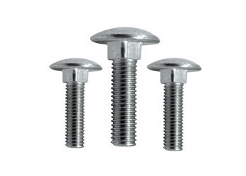 carriage-bolts-250x250